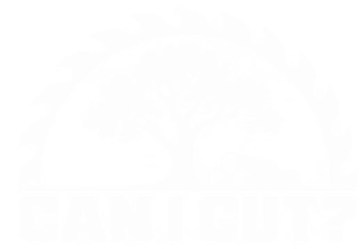 CanICut.com – Atlanta tree permit checker